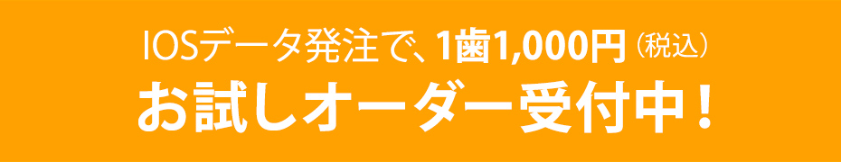 お試しオーダー